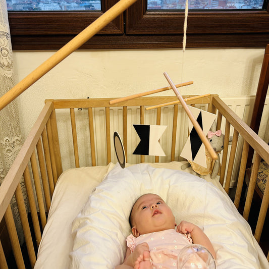 Montessori Mobile Set